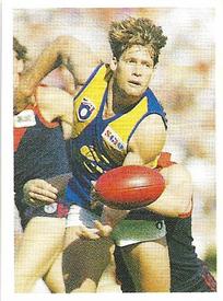 1991 Select AFL Stickers #249 Craig Turley Front